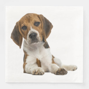 Serviette Jetable Mariage de chien chiot Beagle Fête