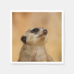 Serviette Jetable Meerkat20151002
