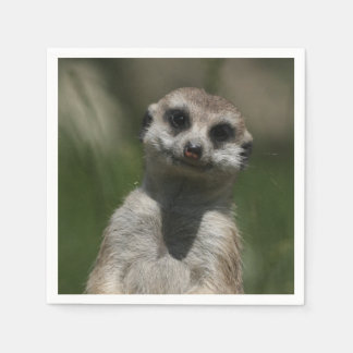 Serviette Jetable Meerkat-Portrait 004