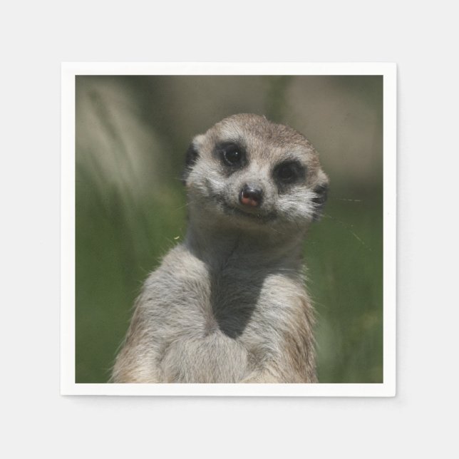 Serviette Jetable Meerkat-Portrait 004 (Devant)