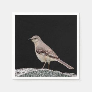 Serviette Jetable Mockingbird sur une pierre tombale