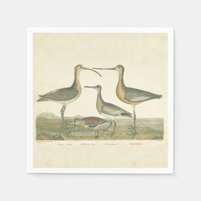 Serviette Jetable Oiseaux de marais Courlis Oiseaux (Devant)