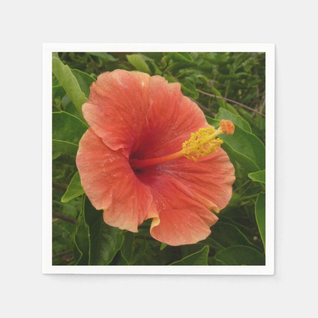 Serviette Jetable Orange Hibiscus Fleur Tropical Floral (Devant)