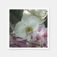 Orchidées blanches et violettes