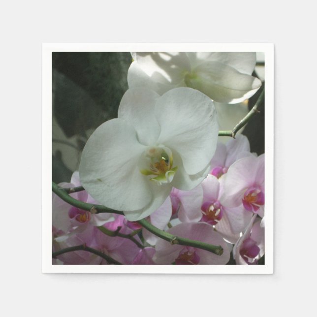Serviette Jetable Orchidées blanches et violettes (Devant)