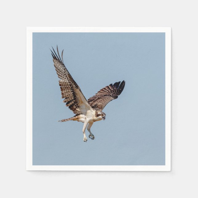 Serviette Jetable Osprey juvénile en vol (Devant)