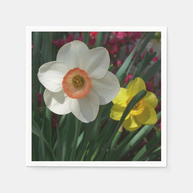 Serviette Jetable Pair of Daffodils Pink and Yellow Spring Flowers (Devant)