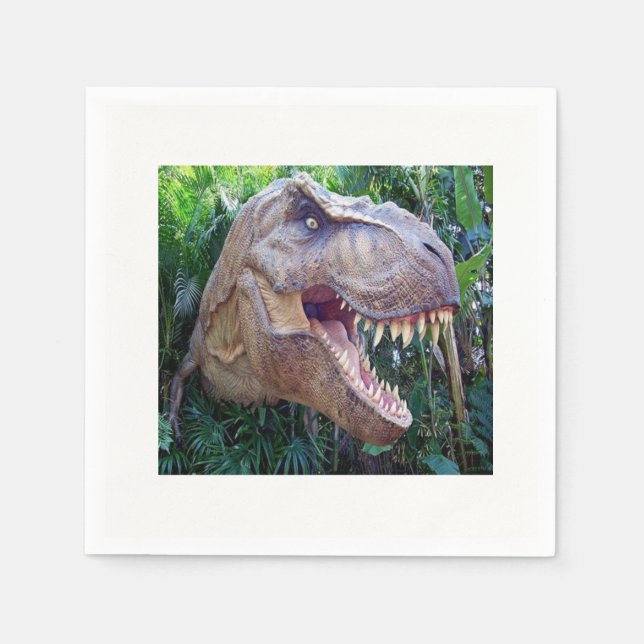 Serviette Jetable Papier (Devant)