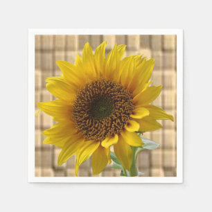 Serviette Jetable Papier