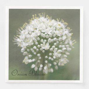 Serviette Jetable Papier vert d'olive