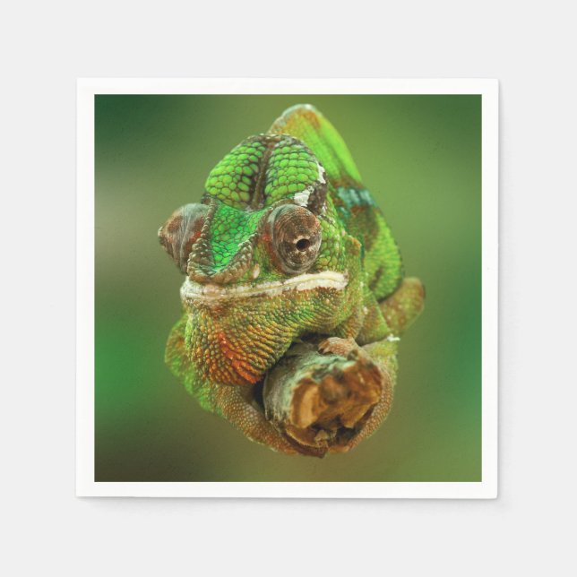 Serviette Jetable Photo Chameleon (Devant)