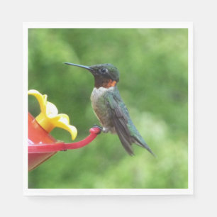 Serviette Jetable Photographie d'oiseau Colibri à gorge rubis