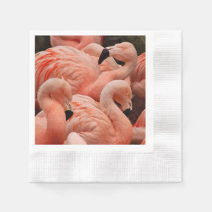 Serviette Jetable Pink flamingos