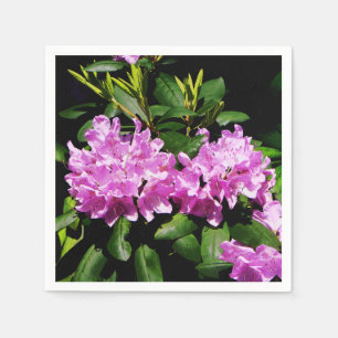 Serviette Jetable Rhododendron Closeup