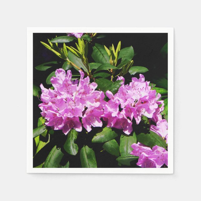 Serviette Jetable Rhododendron Closeup (Devant)