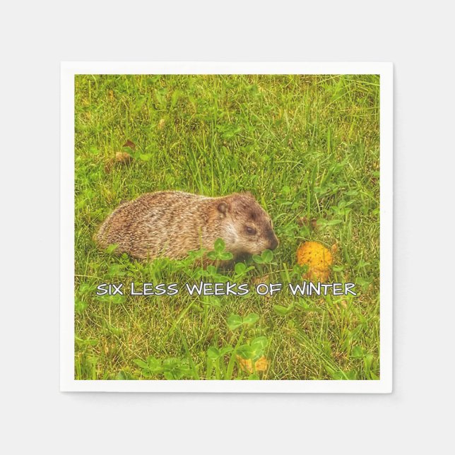 Serviette Jetable Six semaines de moins de serviettes d'hiver (Devant)