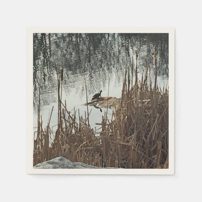 Serviette Jetable Solstice d'hiver (Devant)