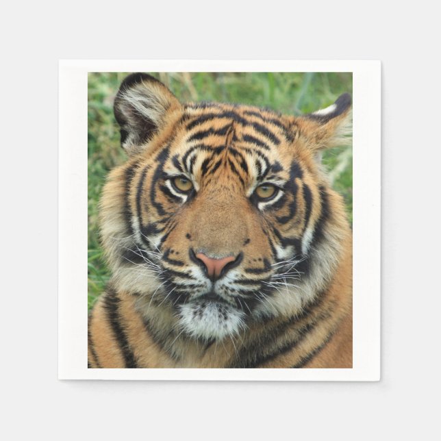 Serviette Jetable Tigre (Devant)