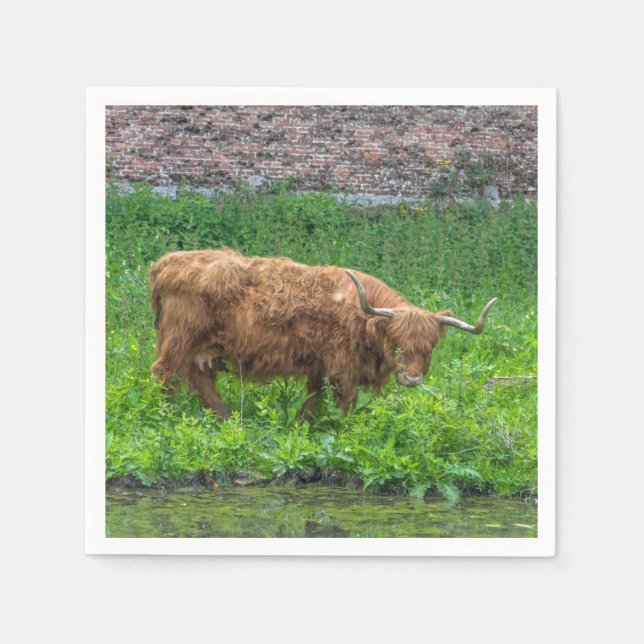 Serviette Jetable Vache de Highland (Devant)