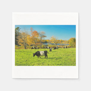 Serviette Jetable Vaches ceinturées à Galloway frôlant sur l'herb