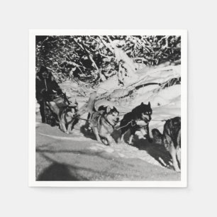 Serviette Jetable Vintage Alaska eskimo Malamute course de traîneau