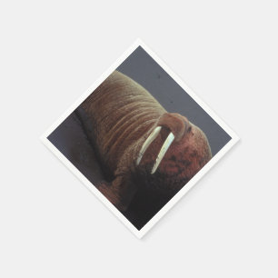 Serviette Jetable Walrus