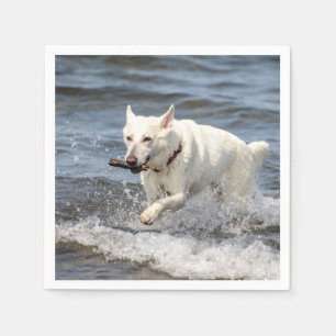 Serviette Jetable White German Shepard sur le lac George
