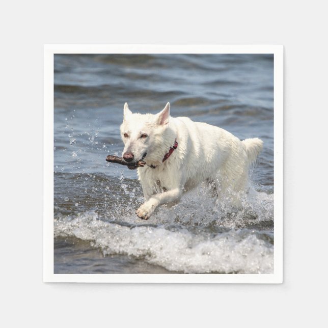 Serviette Jetable White German Shepard sur le lac George (Devant)