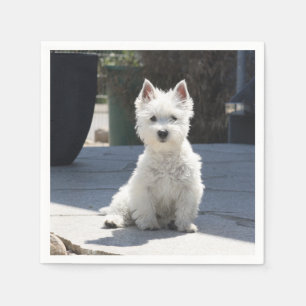 Serviette Jetable White West Highland Terrier assis sur le trottoir