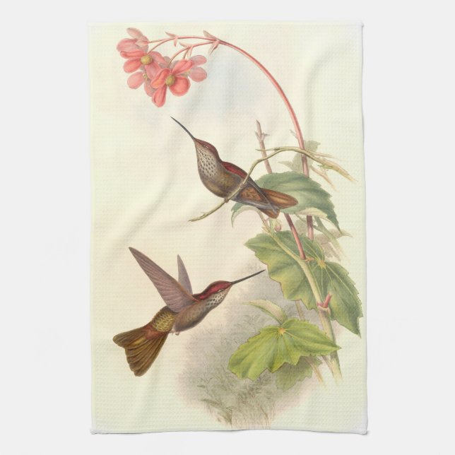 Serviettes de cuisine des colibris de Goulds (Vertical)
