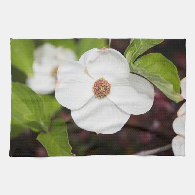 Serviettes de cuisine en bois de chien blanc (Horizontal)