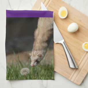 Serviettes de cuisine Ferret Serviettes