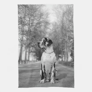 Serviettes de cuisine pour Dogue Allemand