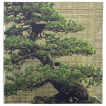 Photo de l'arbre Bonsai de pin blanc japonais