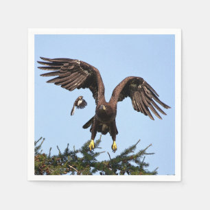 Serviettes En Papier Aigle à tête blanche juvénile décolle
