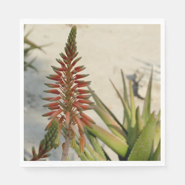 Serviettes En Papier Aloe Vera Photo Luncheon Napkin (Devant)