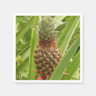 Serviettes En Papier Ananas sauvage Fruit tropical dans la nature