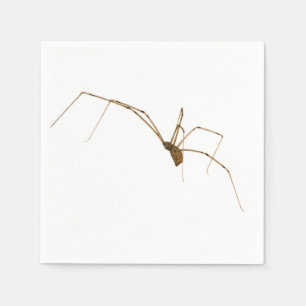 Serviettes En Papier Araignée