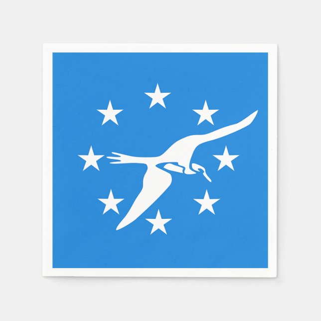 Serviettes en papier avec drapeau de Corpus Christ (Devant)