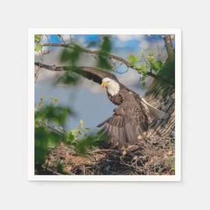 Serviettes En Papier Bald Eagle quittant le nid