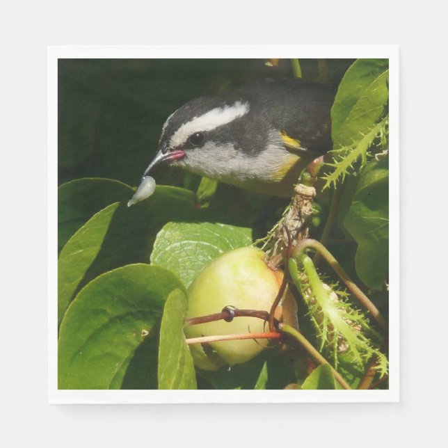 Serviettes En Papier Bananaquit Bird Mange Photographie tropicale (Devant)