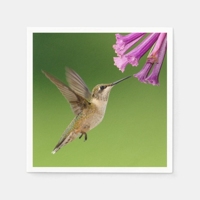 Serviettes En Papier Beau Paysage Naturel Colibri (Devant)