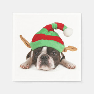 Serviettes En Papier Boston Terrier Avec Un Casquette De Noël