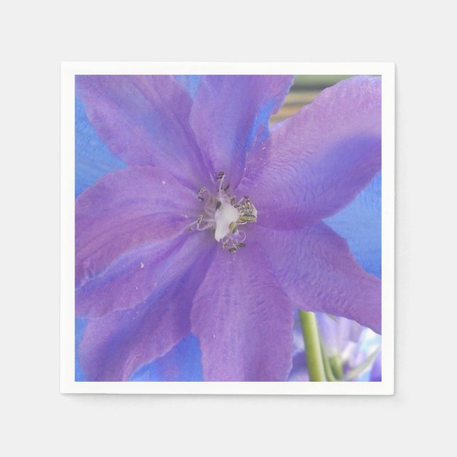 Serviettes En Papier Bowen (Devant)