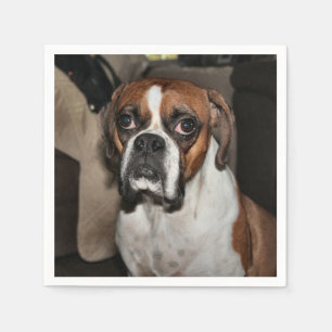 Serviettes En Papier Boxer