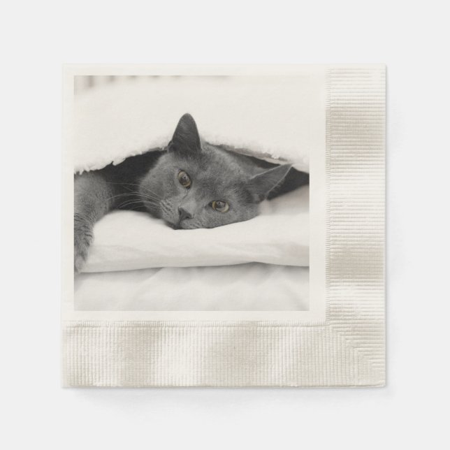Serviettes En Papier Chat gris sous couverture blanche (Devant)