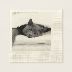 Serviettes En Papier Chat gris sous la couverture blanche
