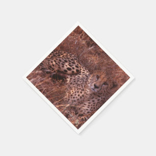 Serviettes En Papier Cheetah Stare