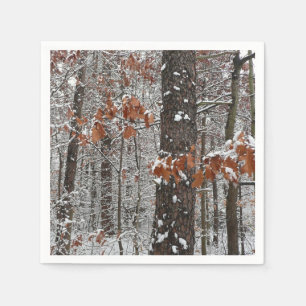 Serviettes En Papier Chênes couverts de neige hiver Photographie de la 