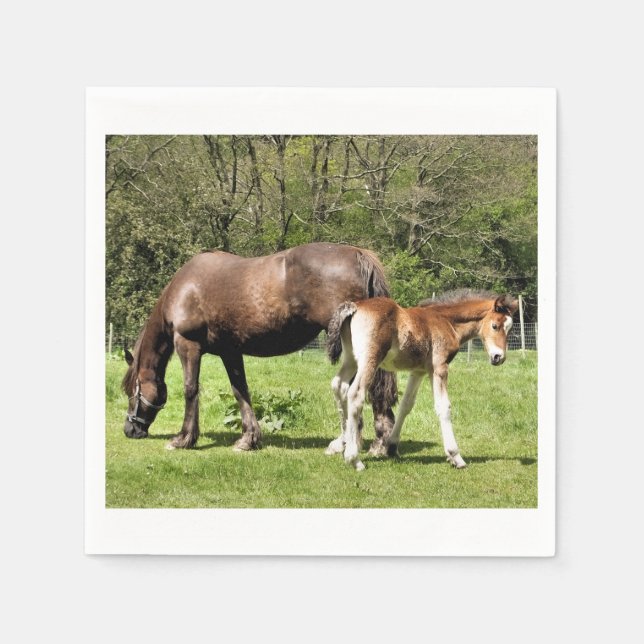 SERVIETTES EN PAPIER CHEVAUX (Devant)